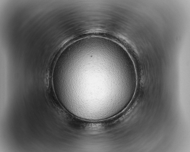 X0000093621313200710221539