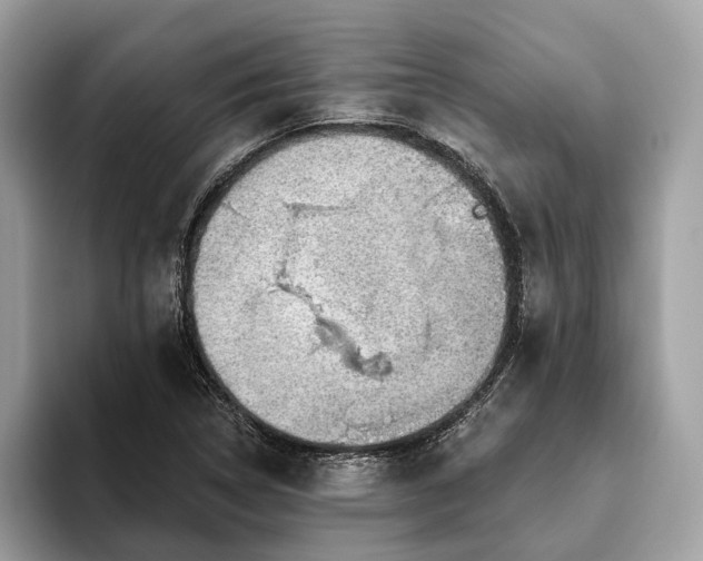 X0000093621314200710221539
