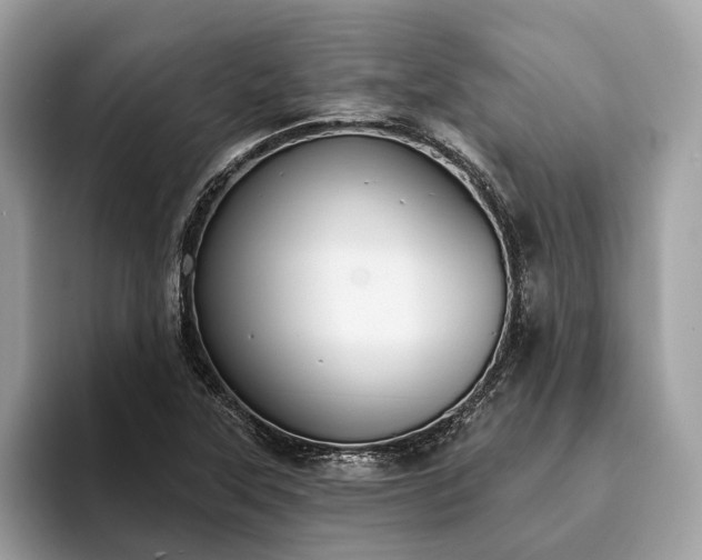 X0000093621315200710221539