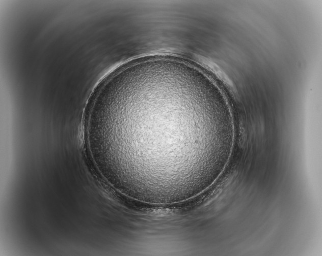 X0000093621316200710221539