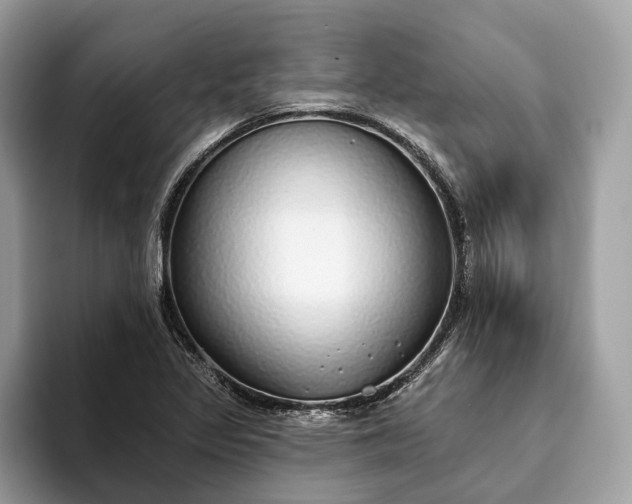 X0000093621317200710221539