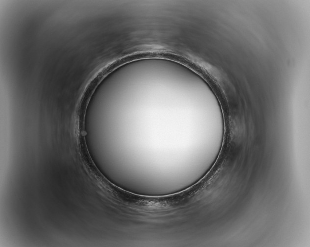 X0000093621318200710221539