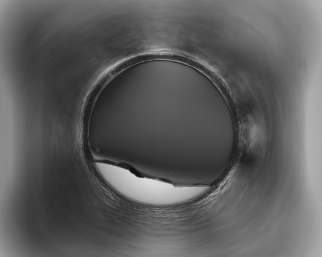 X0000093621319200710221539