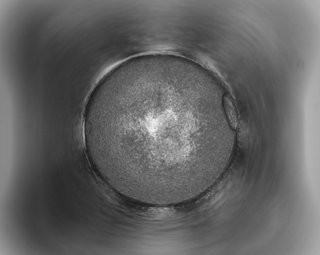 X0000093621320200710221539