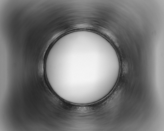 X0000093621322200710221539