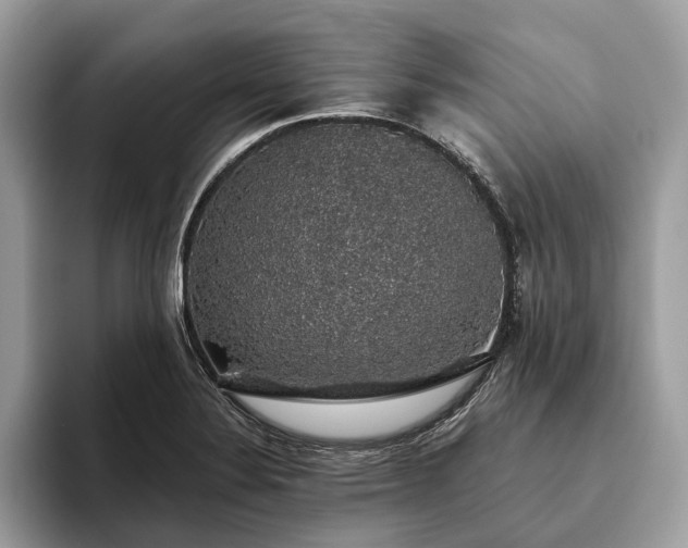 X0000093621324200710221539