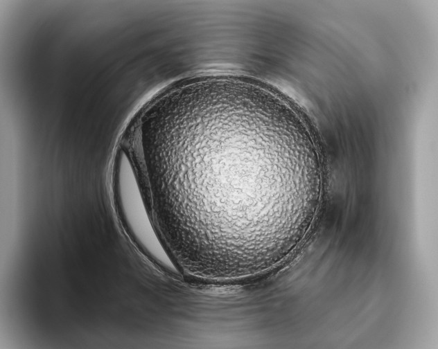 X0000093621325200710221539