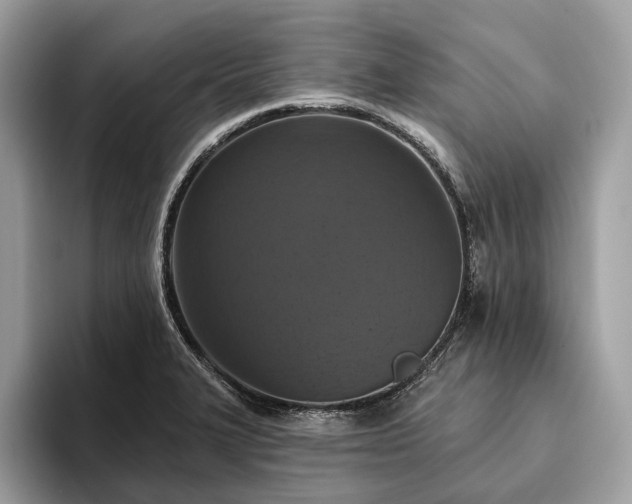 X0000093621327200710221539