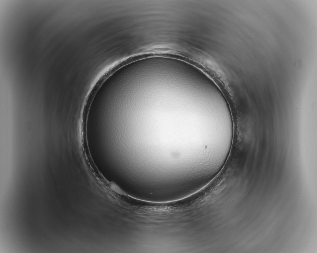 X0000093621328200710221539