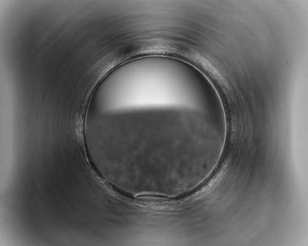 X0000093621329200710221539