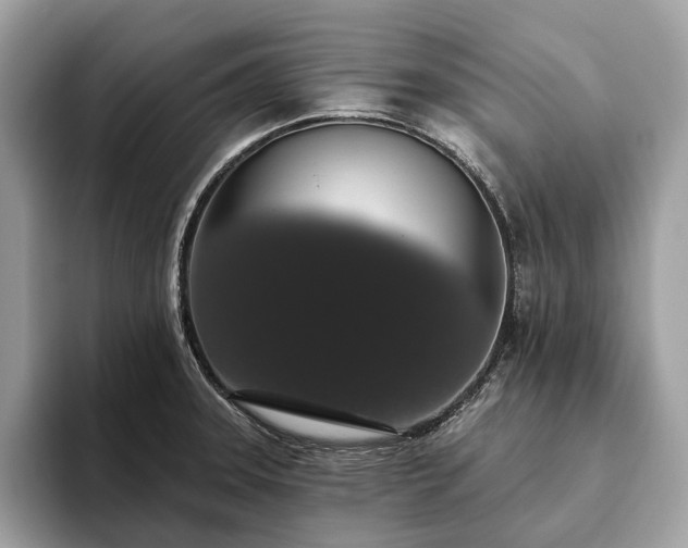 X0000093621331200710221539