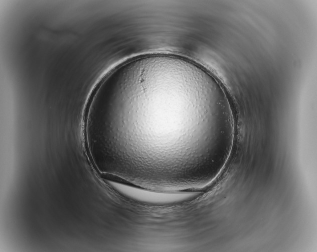 X0000093621332200710221539
