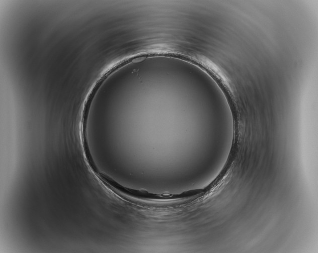 X0000093621334200710221539