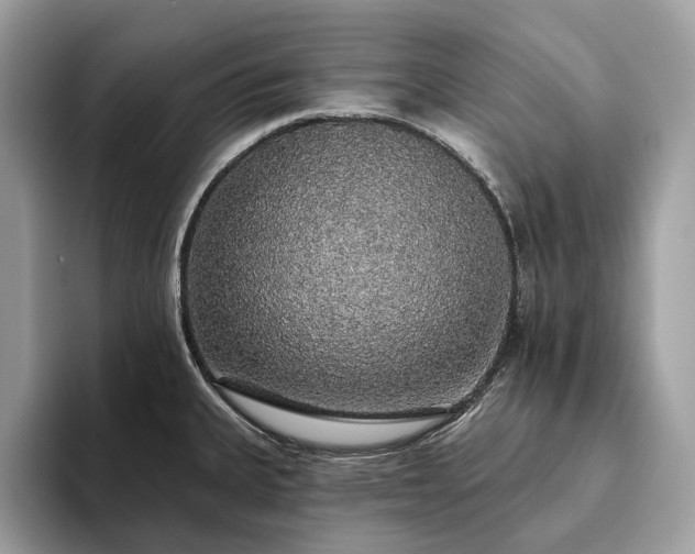 X0000093621335200710221539