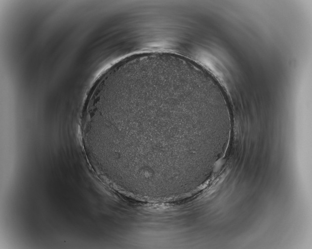 X0000093621336200710221539