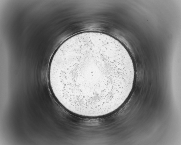 X0000093621338200710221539