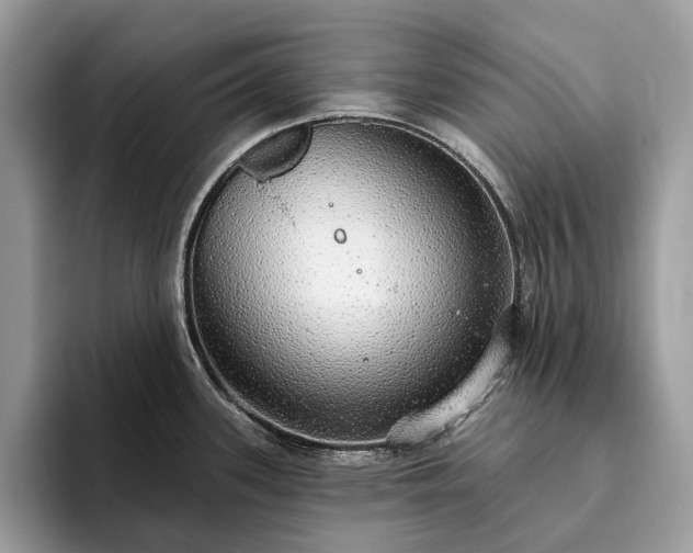 X0000093621339200710221539