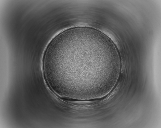 X0000093621342200710221539