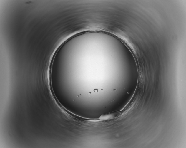 X0000093621343200710221539