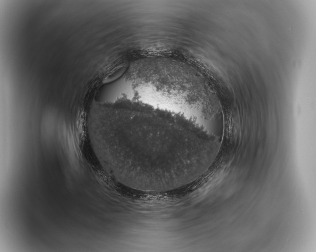 X0000093621346200710221538