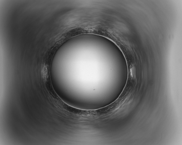 X0000093621347200710221538