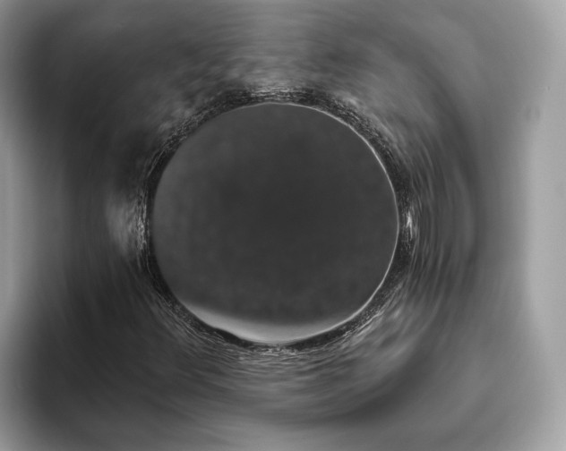 X0000093621348200710221538