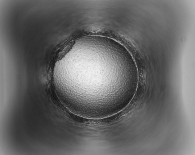 X0000093621349200710221538