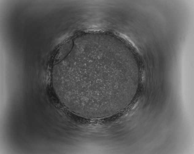 X0000093621350200710221538