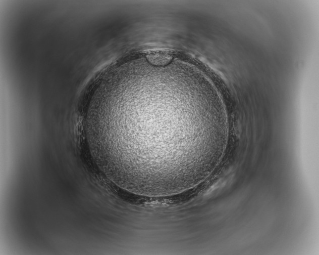 X0000093621351200710221538