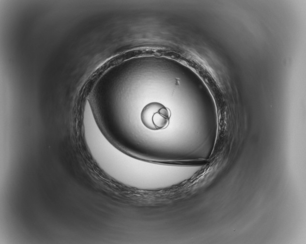 X0000093621352200710221538