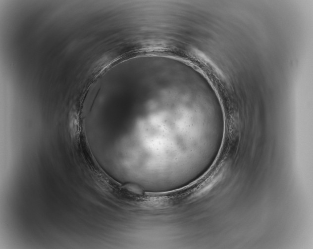 X0000093621353200710221538