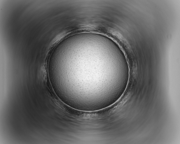 X0000093621354200710221538