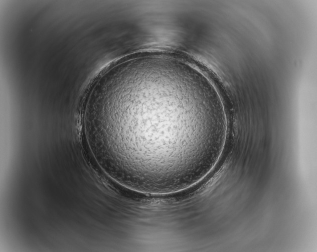X0000093621355200710221538