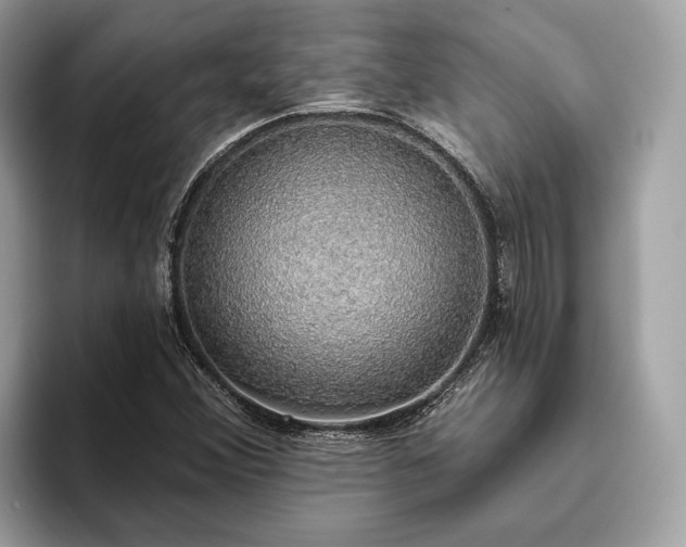 X0000093621356200710221538