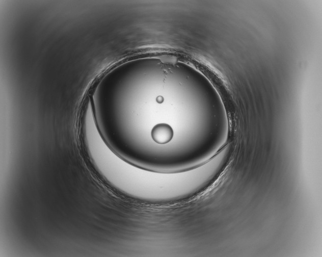 X0000093621357200710221538