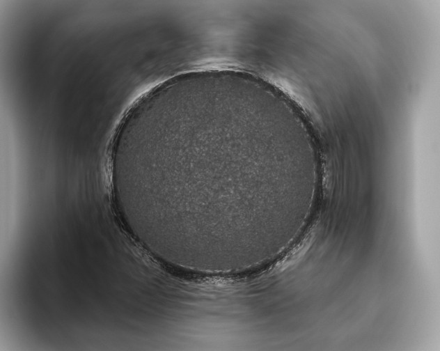 X0000093621358200710221538