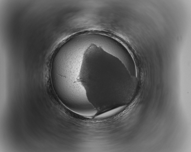 X0000093621359200710221538
