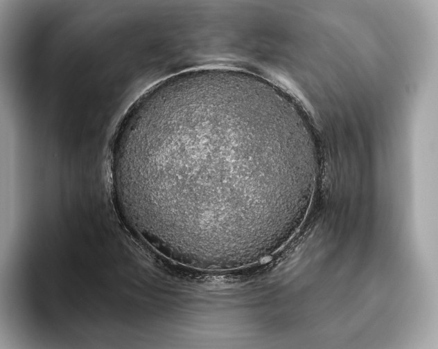 X0000093621360200710221538