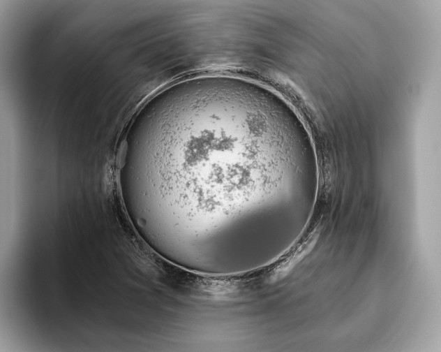 X0000093621361200710221538