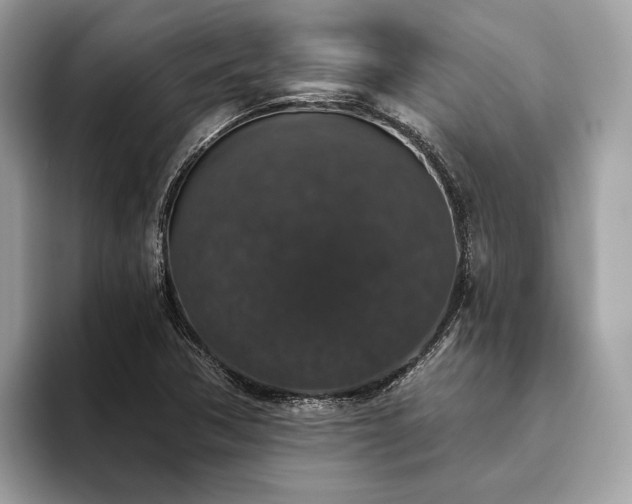 X0000093621362200710221538