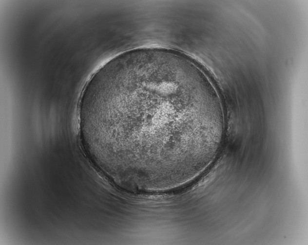 X0000093621367200710221538