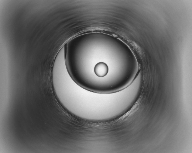 X0000093621369200710221538