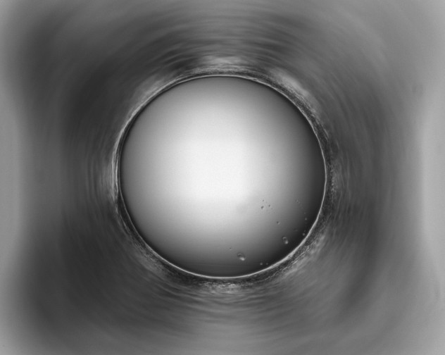 X0000093621370200710221538