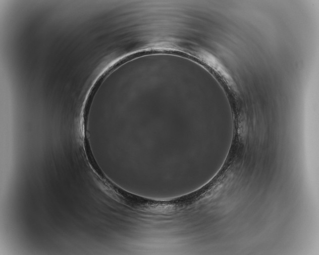 X0000093621372200710221538