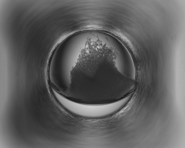 X0000093621373200710221538
