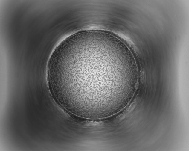 X0000093621374200710221538