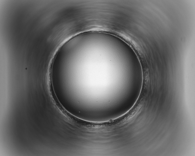 X0000093621375200710221538