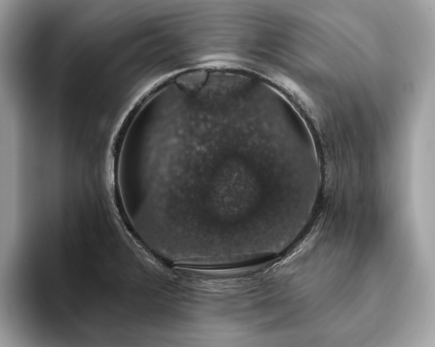 X0000093621376200710221538