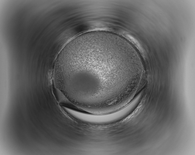 X0000093621377200710221538