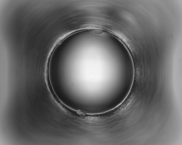 X0000093621379200710221538